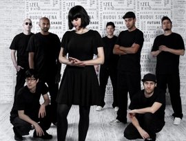 Avatar för The Herd