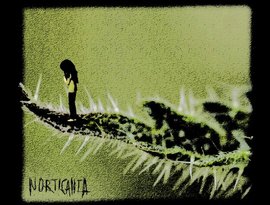 NORTICANTA 的头像