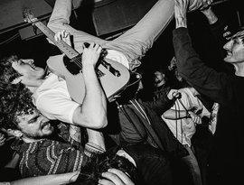 Stegosauro 的头像