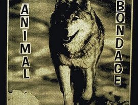 Avatar for Animal Bondage