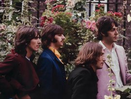 Maximum Decibels: Today's Rock Hits