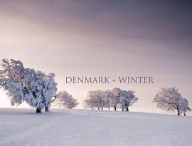 Denmark + Winter のアバター