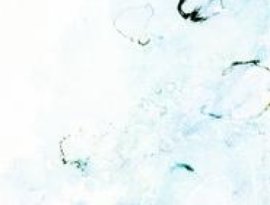 Avatar for 糞田舎P