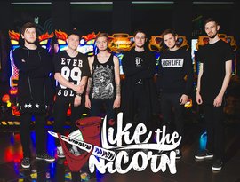 liketheunicorn 的头像