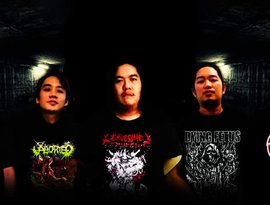 Avatar for Orgiastic Defleshment