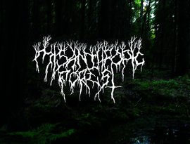 Avatar de Misanthropic Forest