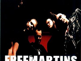 Avatar för Freemartins