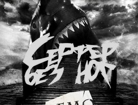 Avatar for Серфер без ног
