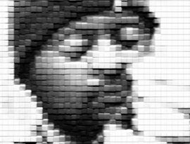 Avatar for Transllusion