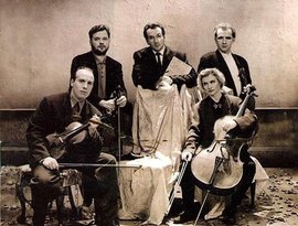 Elvis Costello and the Brodsky Quartet 的头像