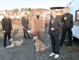 Stavanger Energi için avatar