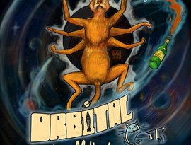 Avatar for Orbital Cat