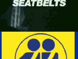 Awatar dla Seatbelts, Hideyuki Takahashi