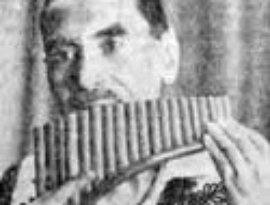 Fanica Luca 的头像
