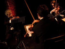 anadolu quartet 的头像