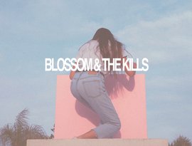 Аватар для Blossom And The Kills