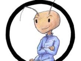 Avatar for Andi Meisfeld
