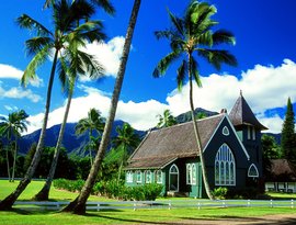 Hawaiian Steel Guitar Classics 的头像
