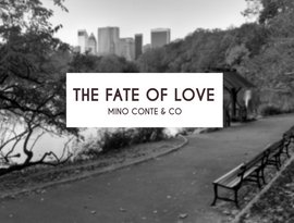 Avatar for Mino Conte & Co