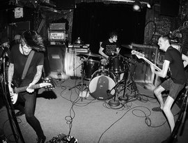 Avatar for Birds in Row