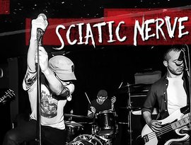 Sciatic Nerve 的头像