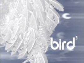 Avatar for Bird3