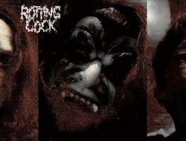 Avatar for Rotting Cock