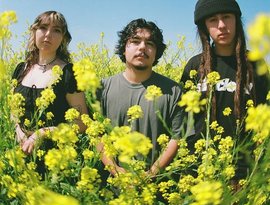 Awatar dla Blossom