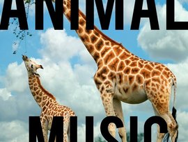 Avatar for Animal-Music