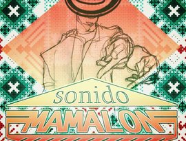 Avatar for Sonido Mamalón