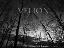 Avatar for Velion