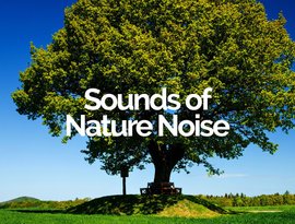 Sounds of Nature Noise のアバター