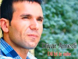 Avatar for Diyar Amedi