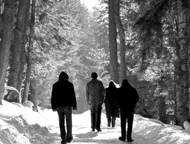 Avatar für Agalloch