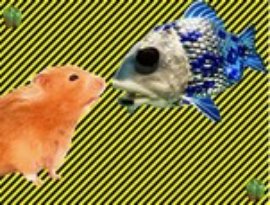 Avatar for Fish Hamster and Your Old