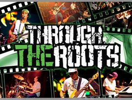 Through the Roots 的头像