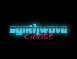 Avatar for Synthwave Goose