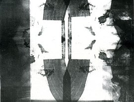 Avatar for Merzbow / S.B.O.T.H.I.