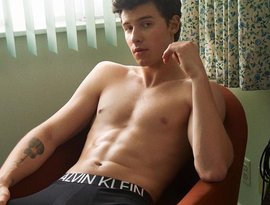 Shawn Mendes için avatar