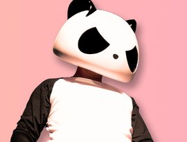 Avatar for The White Panda