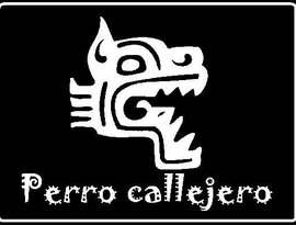 Аватар для Perro Callejero