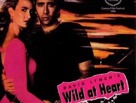 Wild At Heart 的头像