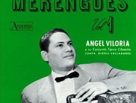 Conjunto Tipico Cibaeño de Angel Viloria 的头像