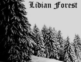 Avatar for Lidian Forest