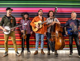 Avatar for The Infamous Stringdusters