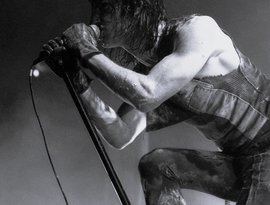 Avatar de Nine Inch Nails