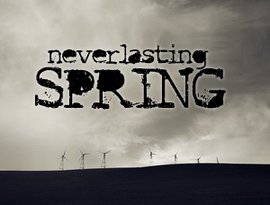 Avatar for Neverlasting Spring