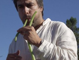 Américo Rodrigues 的头像