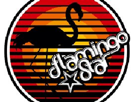 Avatar for Flamingo Star