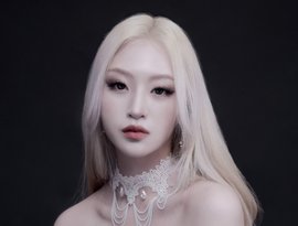 Avatar for VEKOEL